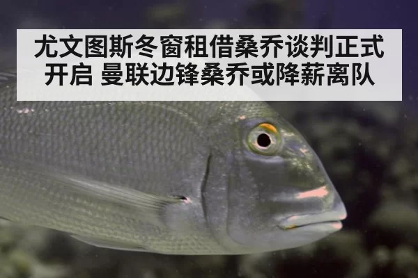 尤文图斯冬窗租借桑乔谈判正式开启 曼联边锋桑乔或降薪离队
